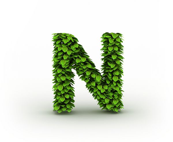 نیترات ها 